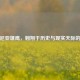 罗马尼亚雄鹰，翱翔于历史与现实天际的小说