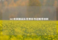 2022年阿根廷队世界杯夺冠概率剖析