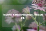星光熠熠！巴西国足队员名单公布，期待闪耀足坛
