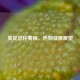 英足总杯赛程，热刺征程展望