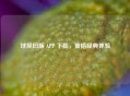 球探旧版 APP 下载,重拾经典体验