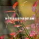 探寻冬奥会举办城市的奥秘