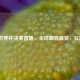 女足世界杯决赛直播，全球瞩目盛宴，在哪看？