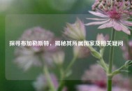 探寻布加勒斯特，揭秘其所属国家及相关疑问