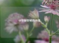 CF获取好枪的方法