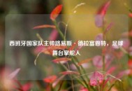 西班牙国家队主帅路易斯·德拉富恩特，足球舞台掌舵人