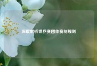 深度解析世乒赛团体赛制规则