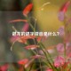 谌龙的谌字读音是什么？