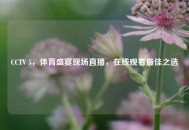 CCTV 5，体育盛宴现场直播，在线观看更佳之选