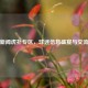 湖人新闻虎扑专区，球迷信息盛宴与交流港湾