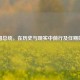 法国总统，在历史与现实中前行及任期探讨