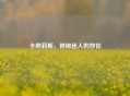 卡纳莉斯，神秘迷人的存在