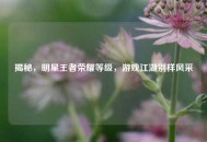 揭秘，明星王者荣耀等级，游戏江湖别样风采