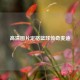 高清图片定格篮球传奇麦迪