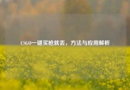 CSGO一键买枪就丢，方法与应用解析