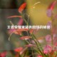 王者荣耀里蓝色圆球的秘密