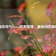 面筋哥与Steam跨界碰撞，最新动态揭秘