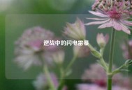 逆战中的闪电雷暴