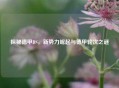 探秘德甲DS，新势力崛起与德甲轮次之谜