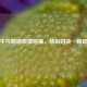 公牛与鹈鹕     碰撞，精彩对决一触即发