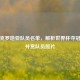 探秘克罗地亚队员名单，解析世界杯夺冠之钥并赏队员照片