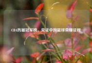 CBA历届冠军榜，见证中国篮球荣耀征程
