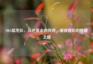 NBA猛龙队，从逆袭走向传奇，赛程背后的辉煌之路