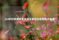 2020欧冠直播观看渠道全解析及观看地点查询