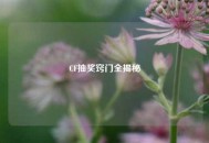 CF抽奖窍门全揭秘
