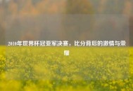 2010年世界杯冠亚军决赛，比分背后的***与荣耀