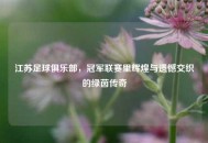 江苏足球俱乐部，冠军联赛里辉煌与遗憾交织的绿茵传奇