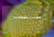 CSGO 世界里的 moyunao 探秘