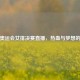 东京奥运会女排决赛直播，热血与梦想的碰撞