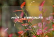 2010世界杯，阿根廷的跌宕历程