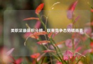 美职足最新积分榜，联赛竞争态势晴雨表