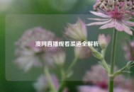 澳网直播观看渠道全解析