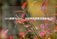 WTA微博与bilibili，开启网球世界互动新窗口