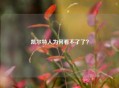 凯尔特人为何看不了了？