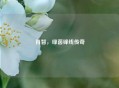 肖智，绿茵锋线传奇