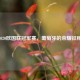 2020欧国联冠军赛，葡萄牙的荣耀征程
