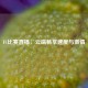 F1比赛直播，云端畅享速度与     