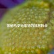 探秘马辛戈塔特的技术特点