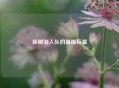 探秘湖人队的璀璨巨星