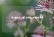 赛场霹雳小将程帅澎身高几何？