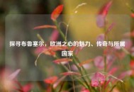 探寻布鲁塞尔，欧洲之心的魅力、传奇与所属国家