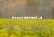 探秘王治郅前妻宋杨身高之谜