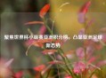 聚焦世界杯小组赛亚洲积分榜,凸显亚洲足球新态势