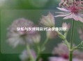 快船与灰熊精彩对决录像回放