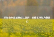 探秘山东鲁能泰山队官网，领略足球魅力新窗口