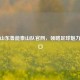 探秘山东鲁能泰山队官网，领略足球魅力新窗口